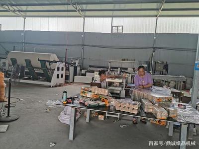 辦個(gè)衛(wèi)生紙加工廠的市場(chǎng)如何,給想做這個(gè)行業(yè)的朋友,分析一下!