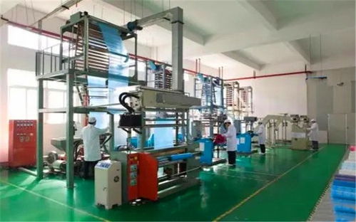 在小縣城投入20萬辦廠,哪些項目見效快 收益高 有前景