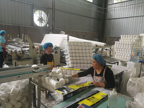 在家生產(chǎn)加工衛(wèi)生紙的可行性與設(shè)備指南