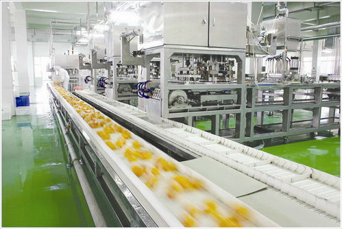 食品生產(chǎn)車間人流與物流的工程技術(shù)服務(wù) 保障安全與效率的雙重維度